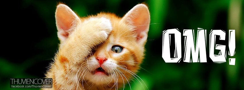 20 ảnh bìa facebook động vật hài hước  đẹp và ý nghĩa