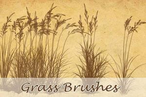 Chia sẻ Grass Brushes miễn phí